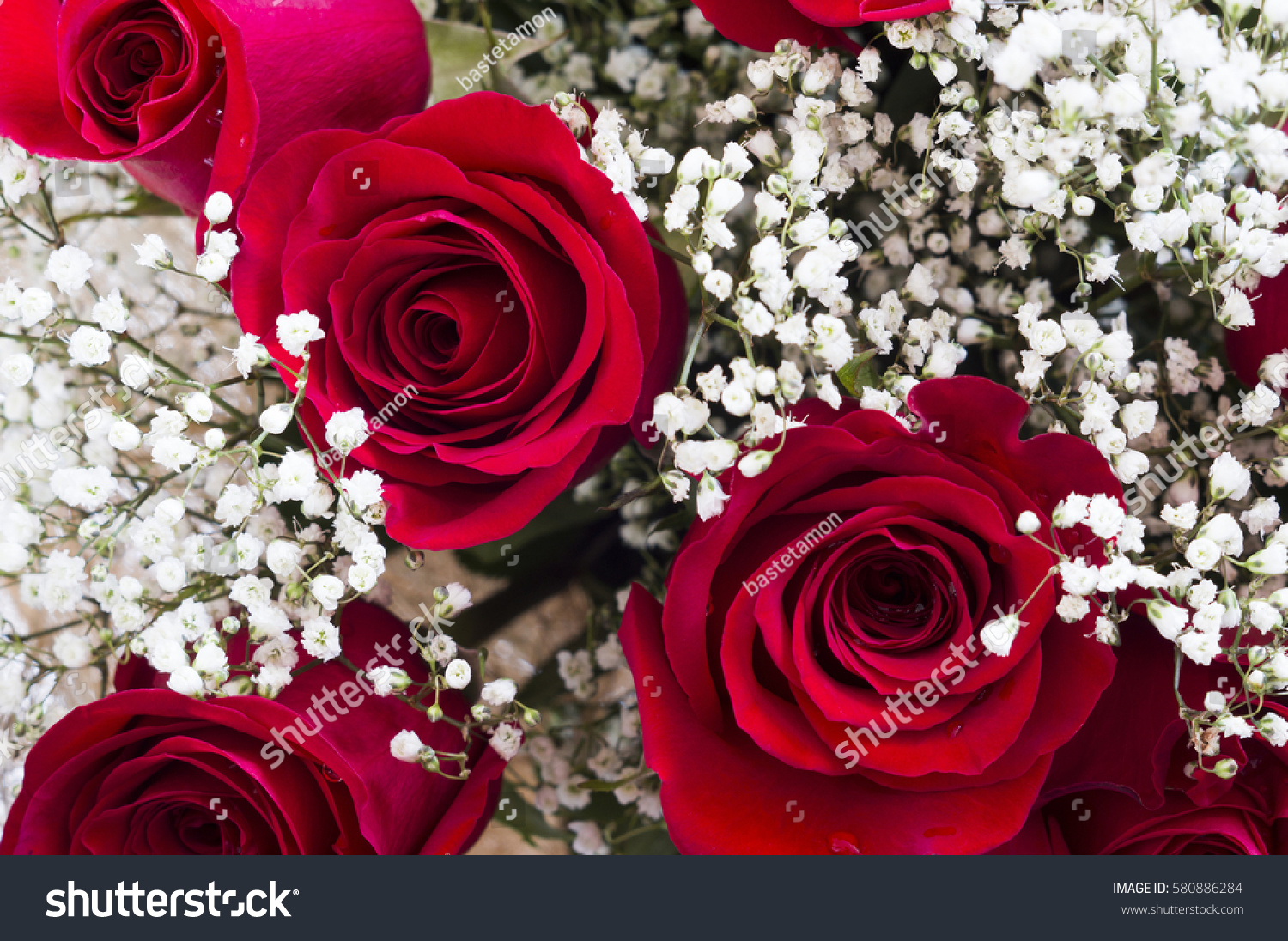 Bouquet Beautiful Red Roses Tiny White Stock Photo Edit Now 580886284