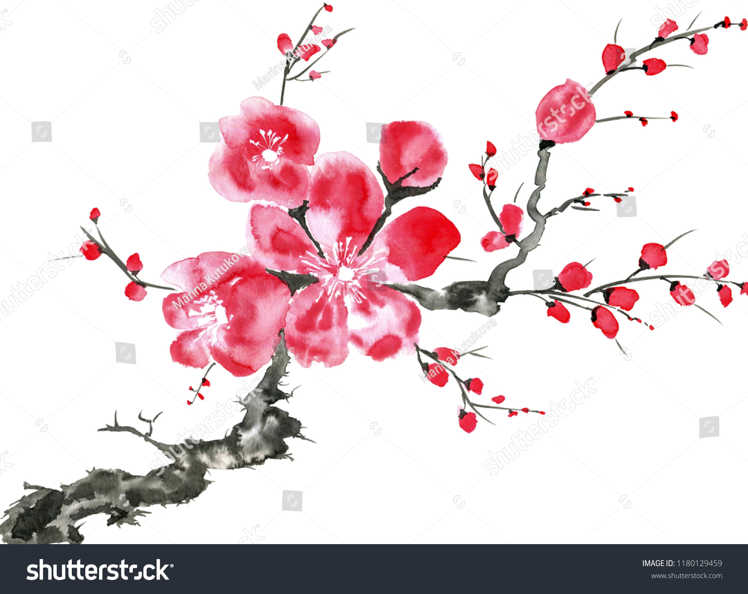 916 Flower mei china Images, Stock Photos & Vectors | Shutterstock