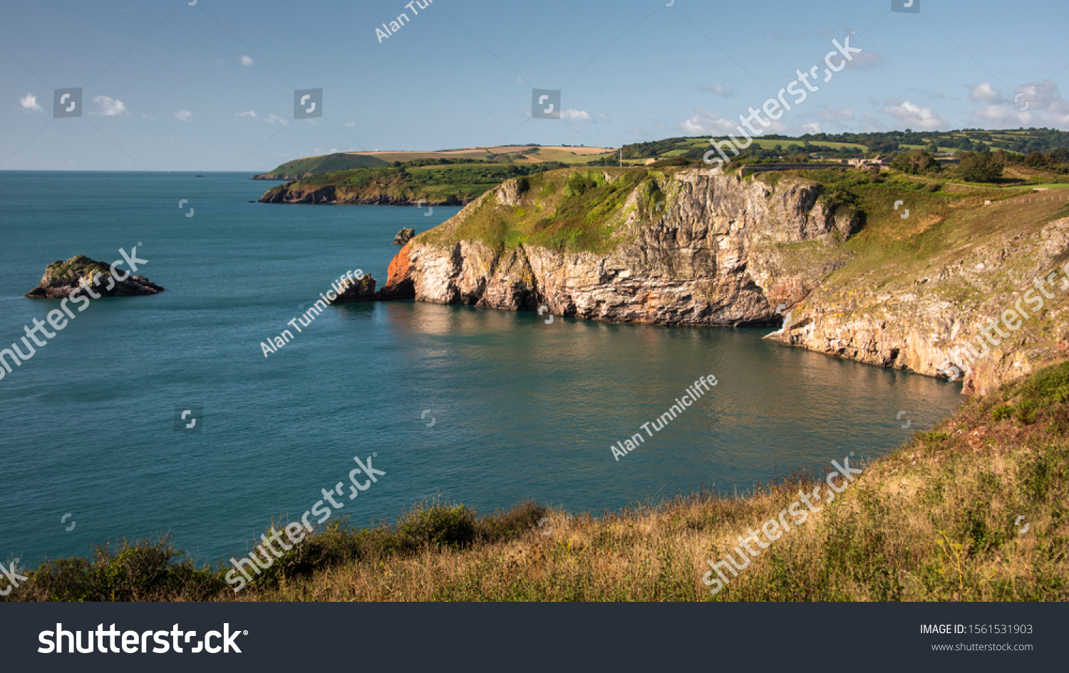 17,719 Berry head Images, Stock Photos & Vectors | Shutterstock