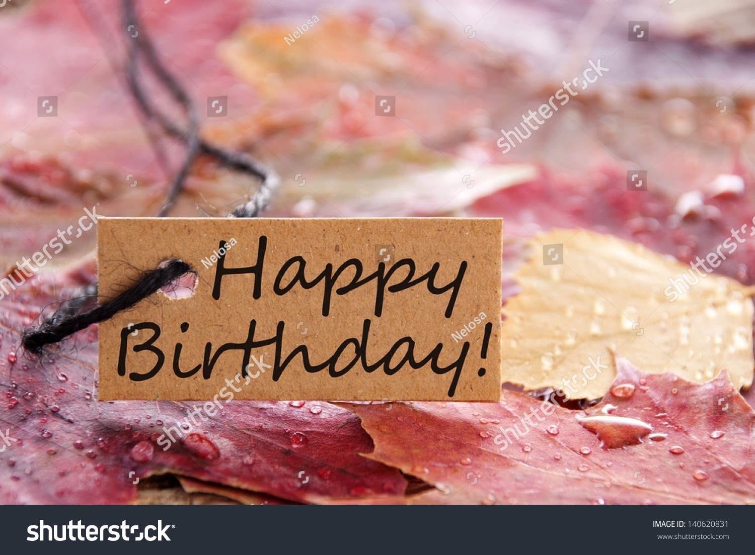 A Brown Happy Birthday Banner With Autumn Leaves As Background Stock ...