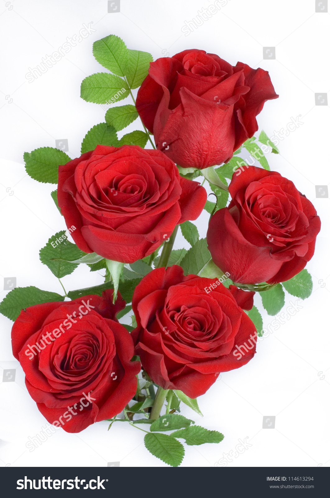 A Bunch Of Red Roses Stock Photo 114613294 : Shutterstock