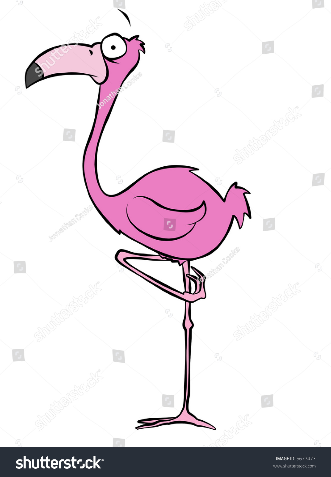 stock-photo-a-cartoon-flamingo-on-one-leg-5677477.jpg