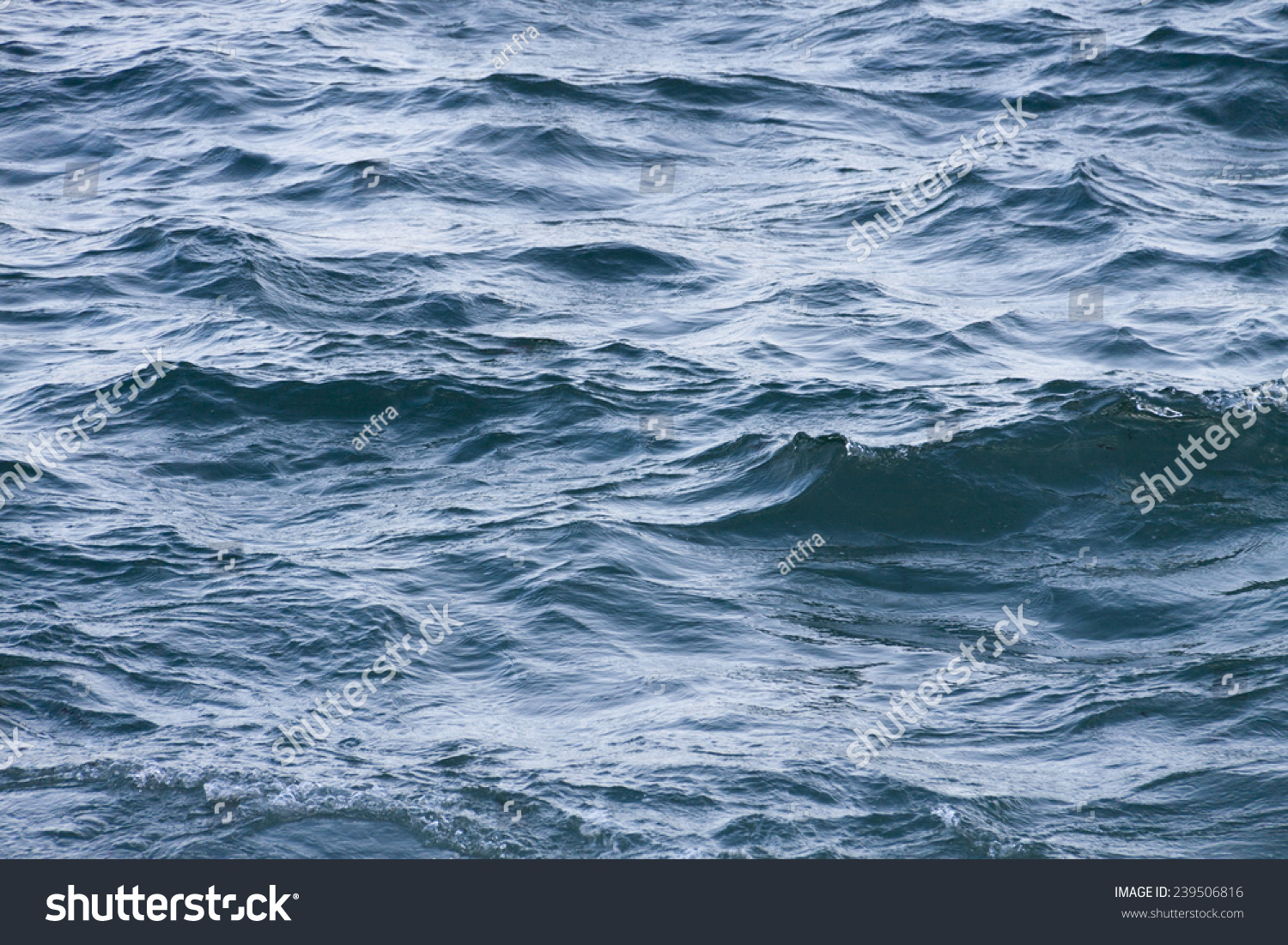 A Choppy Sea Full Of Waves. Stock Photo 239506816 : Shutterstock