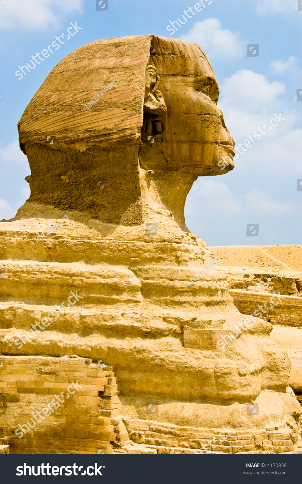 A Close Up Of The Sphinx Stock Photo 4170838 : Shutterstock