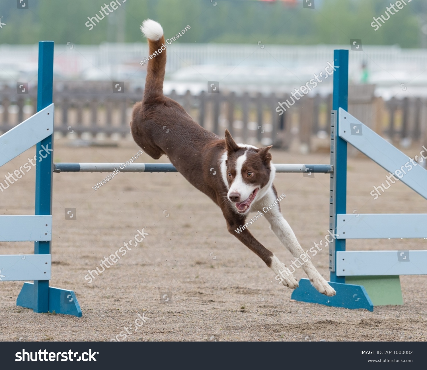 Djump Images, Stock Photos & Vectors | Shutterstock