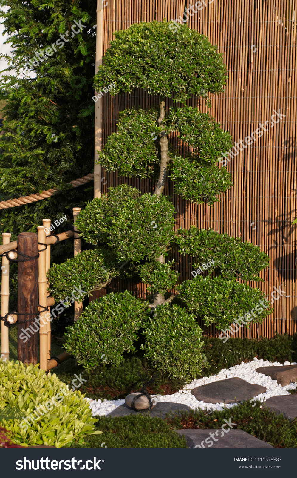 Cloud Pruned Topiary Tree Japanese Garden Stock Photo Edit Now 1111578887