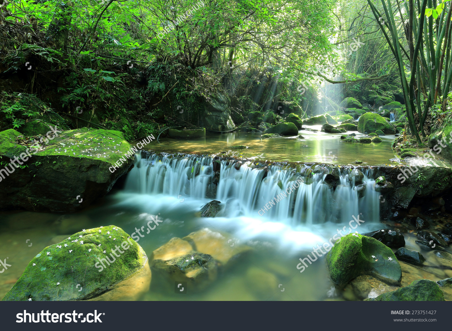 A Cool Refreshing Waterfall Hidden In A Mysterious Forest Of Lush ...