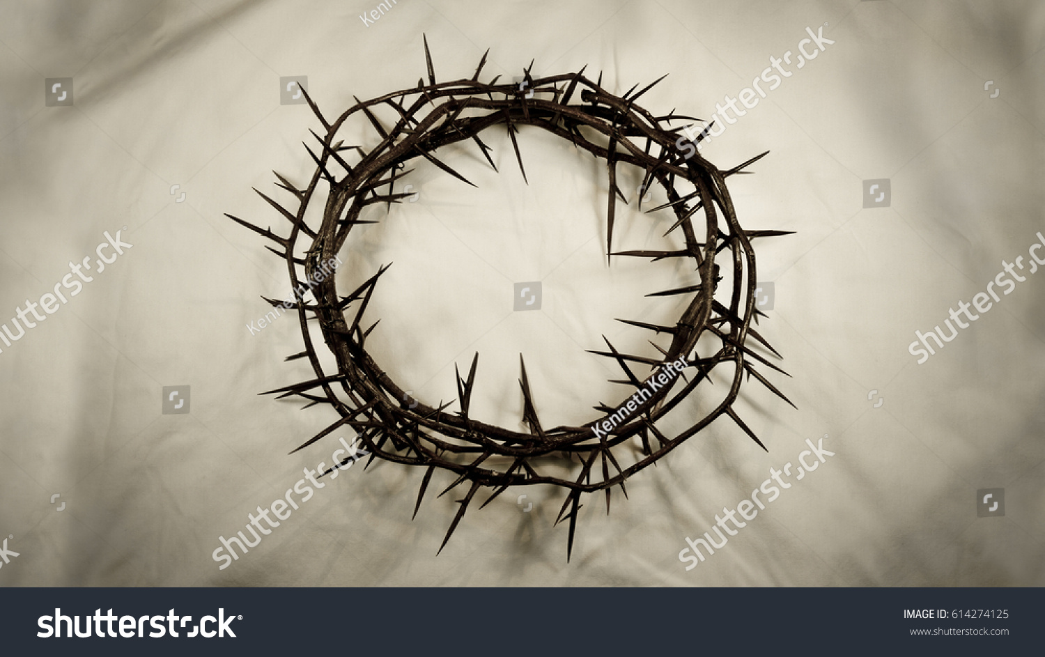 Crown Made Real Thorns Centered On Stock Photo (Edit Now) 614274125