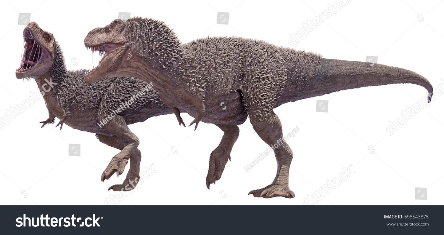 3d Rendering Tyrannosaurus Rex Mating Pair Ilustración De Stock 698543875 Shutterstock