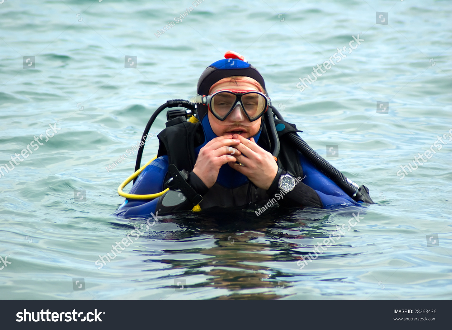 A Diver Ready To Dive Stock Photo 28263436 : Shutterstock