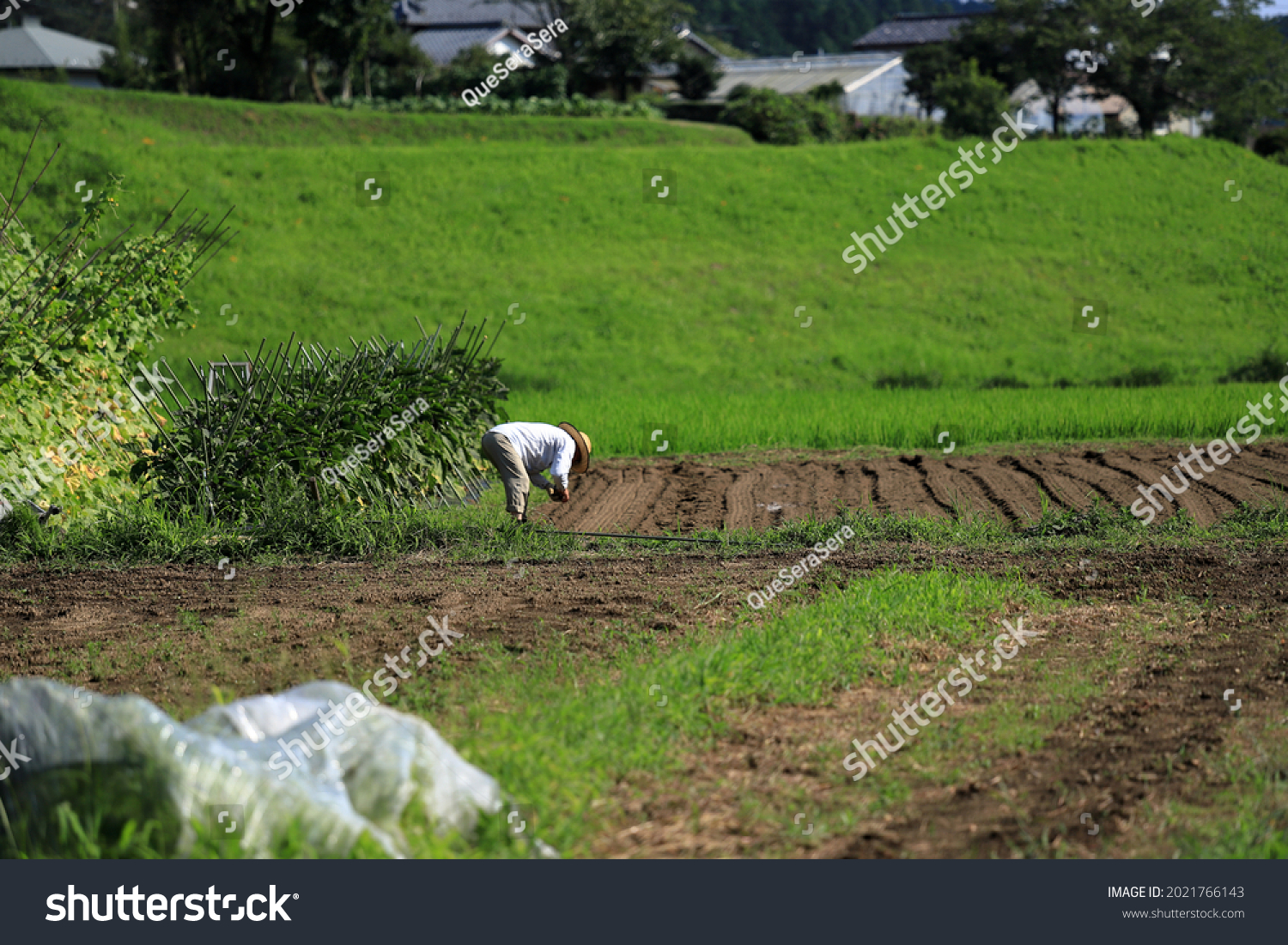 Citation Needed Images Stock Photos Vectors Shutterstock