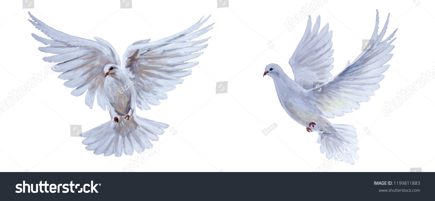 白い背景に無料の空飛ぶ白い鳩 のイラスト素材