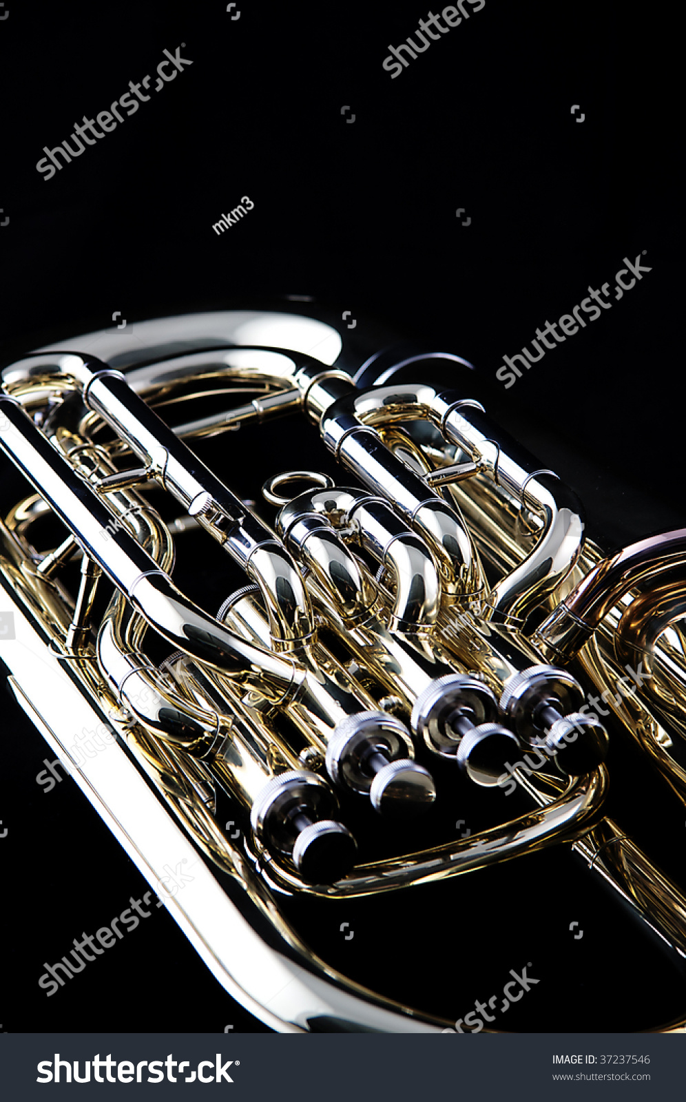 A Gold Brass Tuba Euphonium Isolated Against A Black Background In The ...