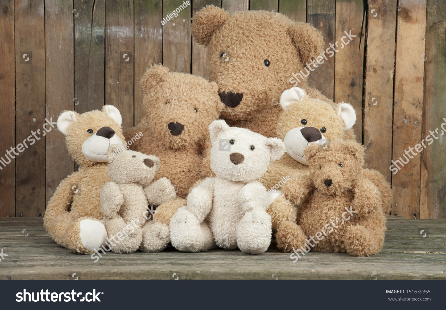 cute stuffed bears