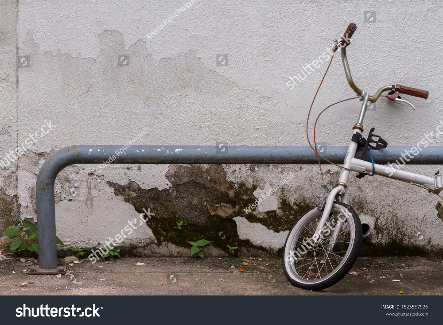 cycle wall tube