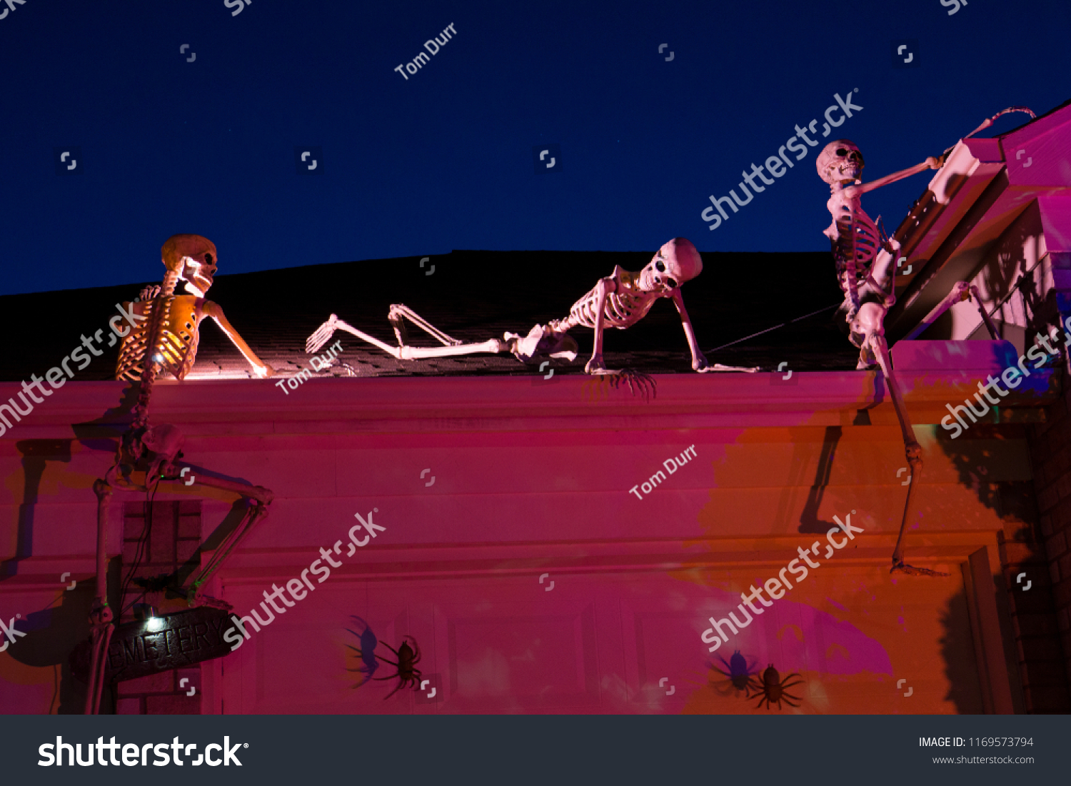 483 Skeletons climbing Images, Stock Photos & Vectors | Shutterstock