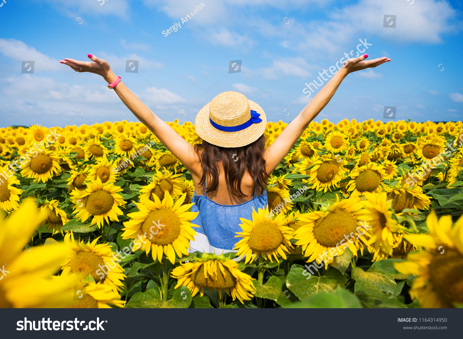 ひまわりの大きな野原に 麦わら帽子をかぶった幸せで美しい若い女の子が立っている 夏の時間 背面図 の写真素材 今すぐ編集