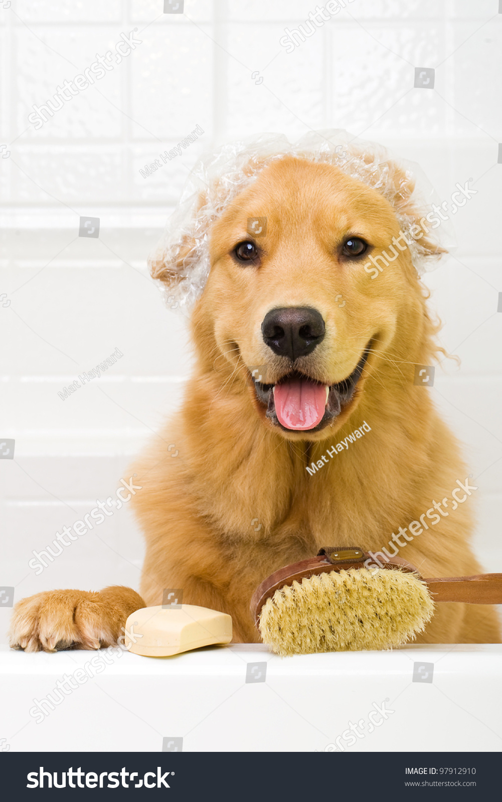 Shower Cap Dog Shower Cap Dog
