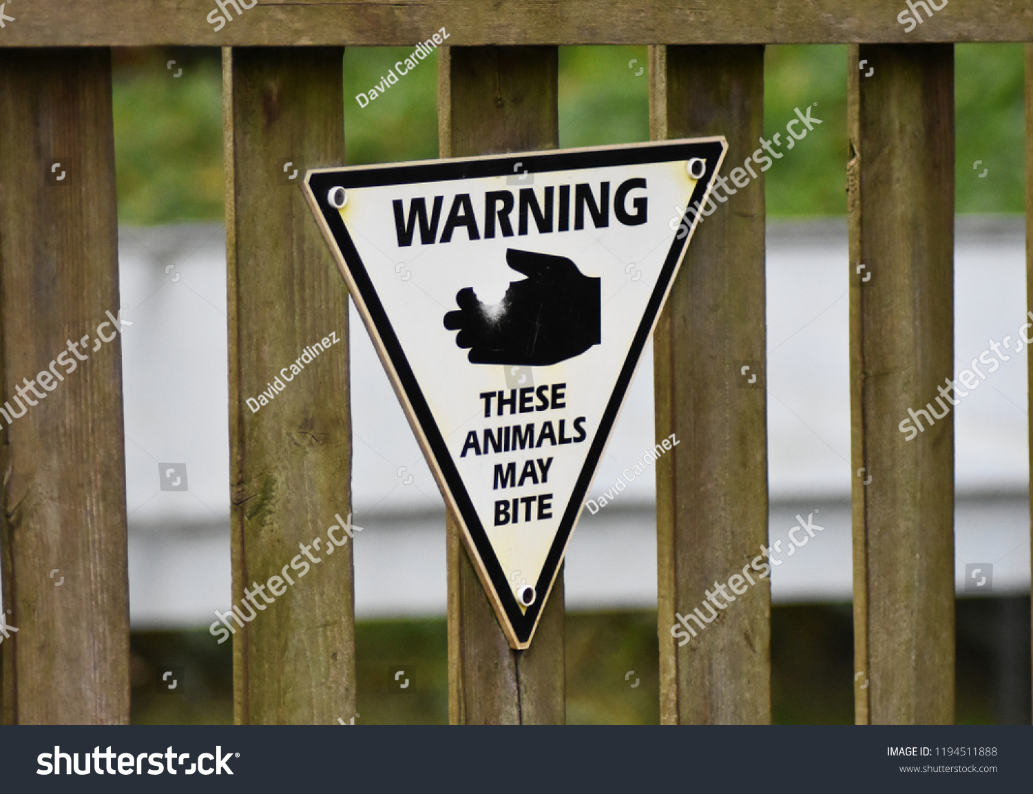 Hazard Caution Danger Safety Sign Zoo Stock Photo (Edit Now) 1194511888