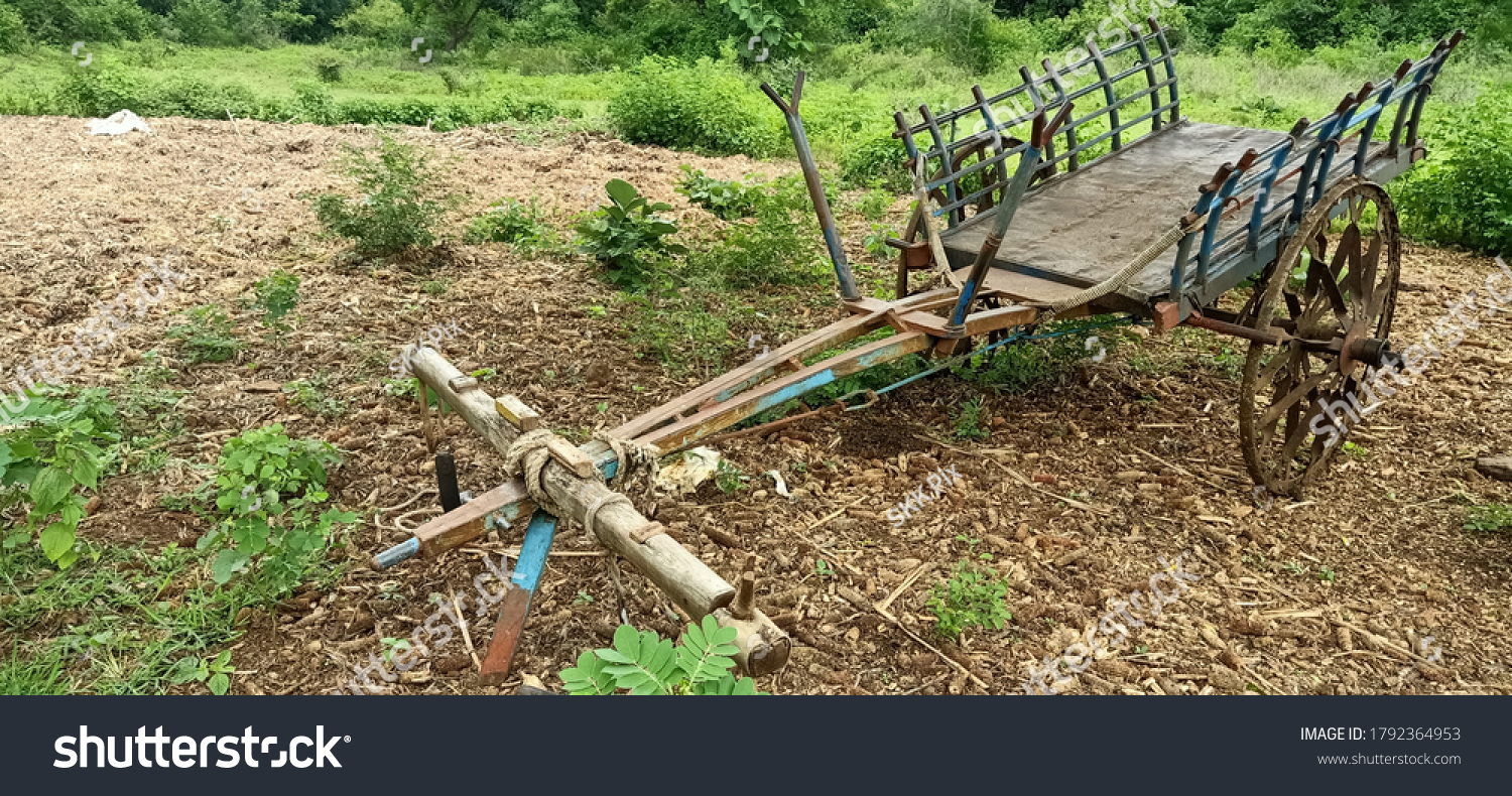 Indian Bullock Cart Ox Cart Two Stock Photo 1792364953 | Shutterstock