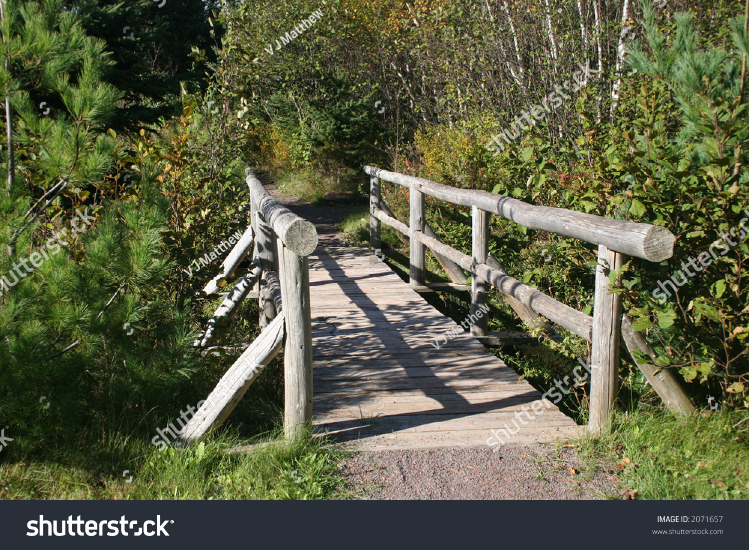 A Log Bridge Over A Stream In The Forest. Stock Photo 2071657 ...