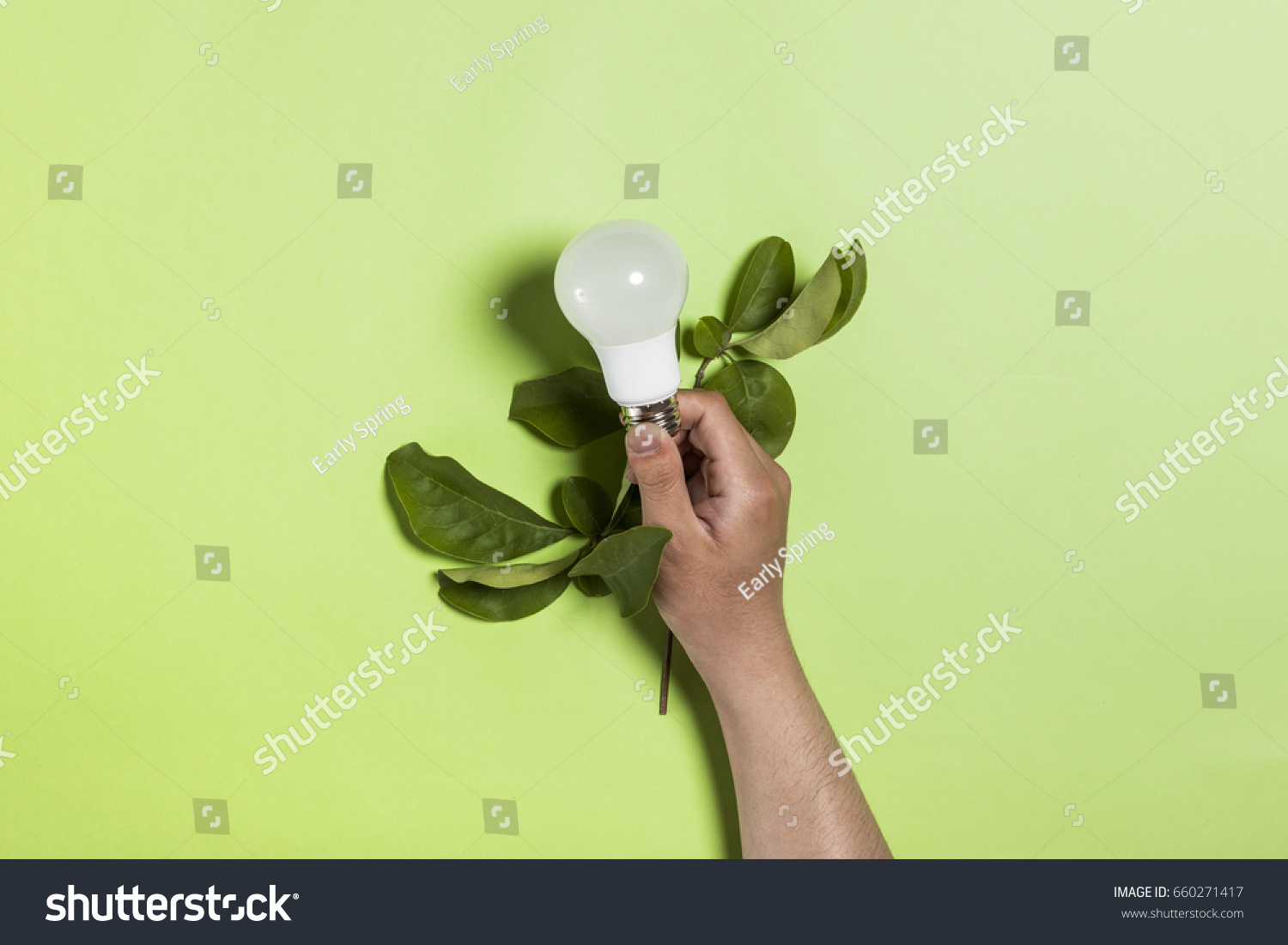 Man Hand Hold Bulb Leaves On Stock Photo Edit Now 660271417