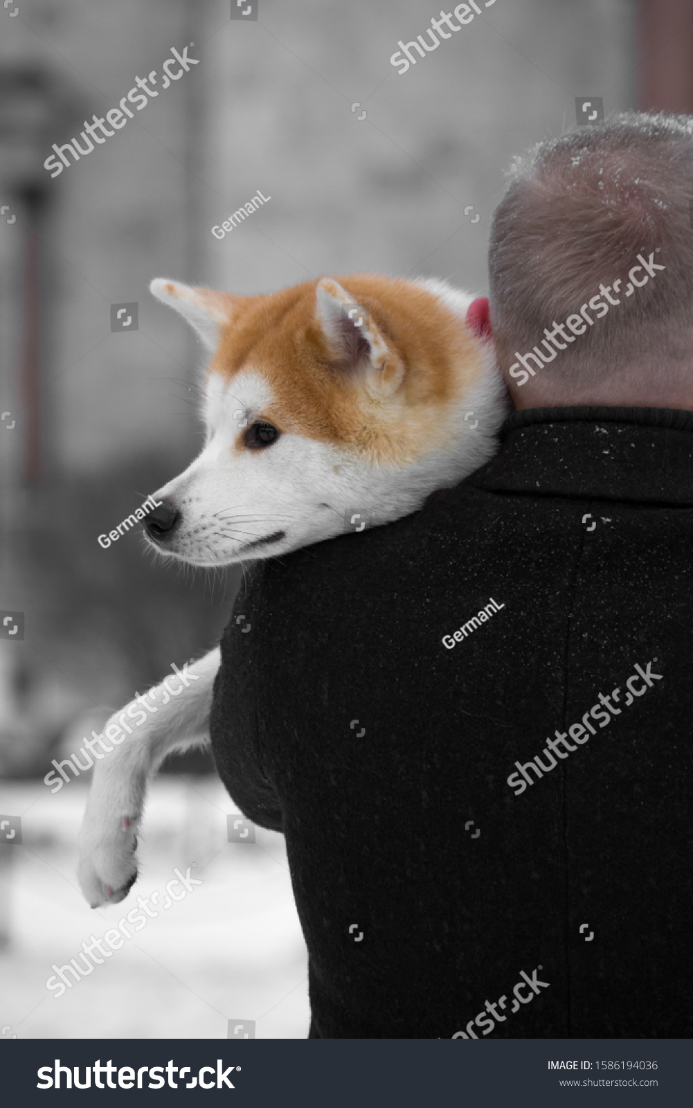 Man Black Coat Holds Dog His Stock Photo Edit Now 1586194036