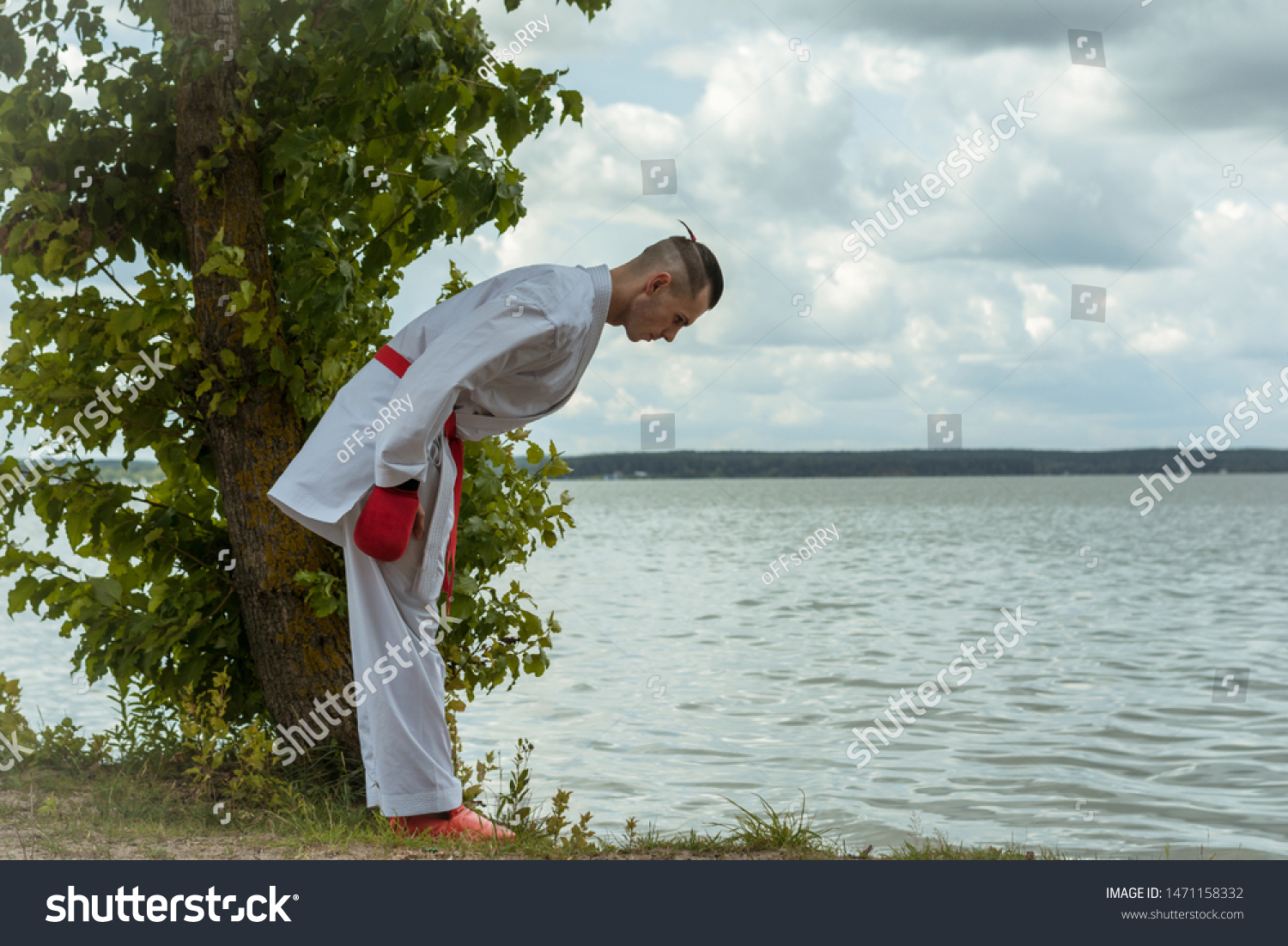3 356 Respectful bow Images Stock Photos Vectors Shutterstock 3 356 Respectful bow Images Stock Photos Vectors Shutterstock