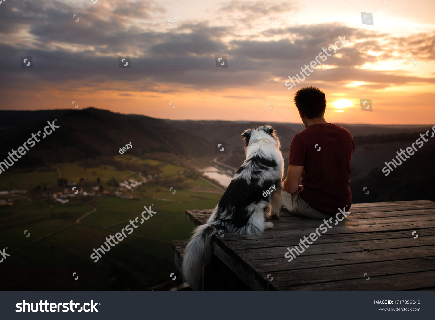 Man Dog Sunset Walk Australian Stock Photo (Edit Now)