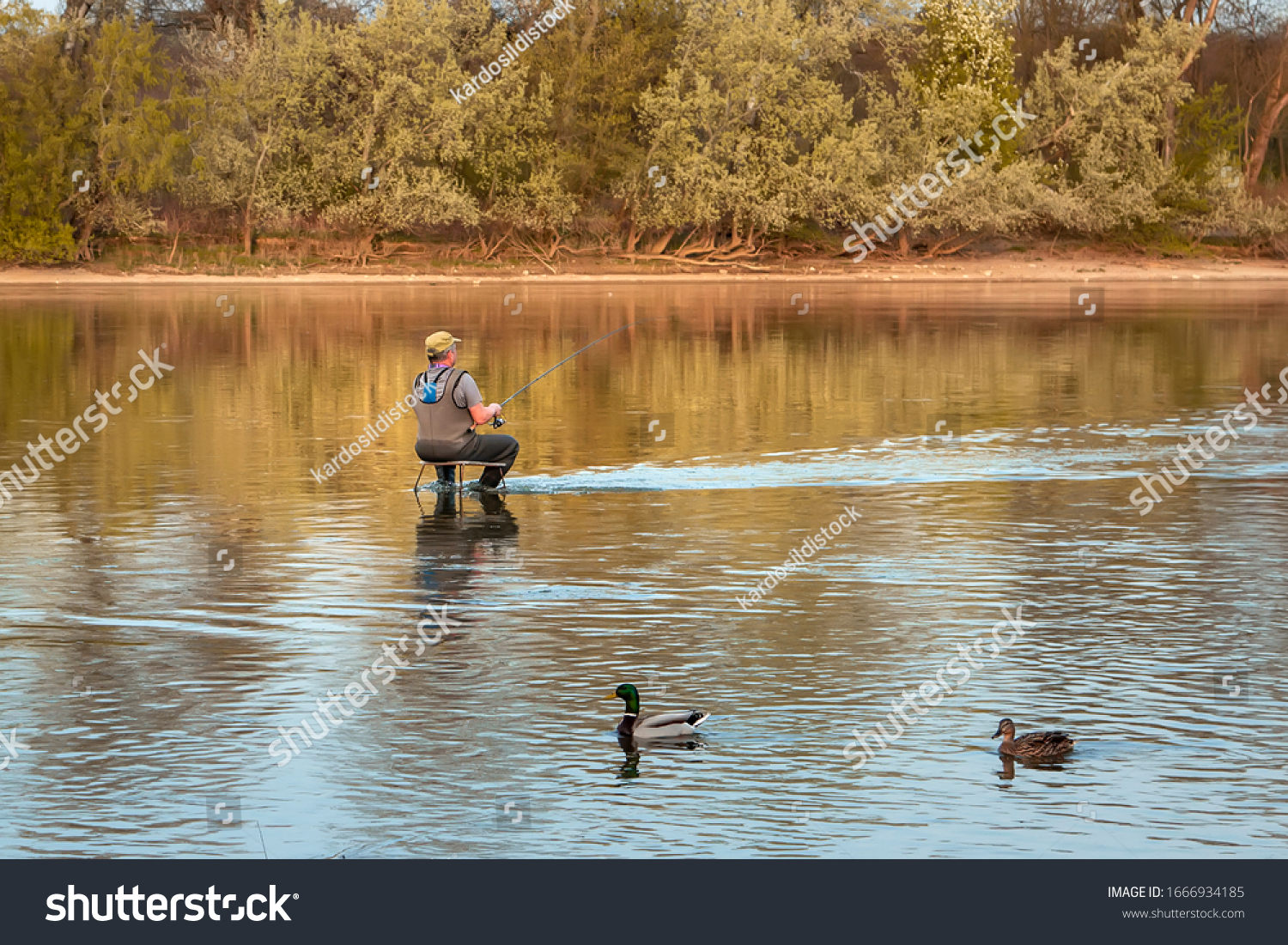 Aged and two rods