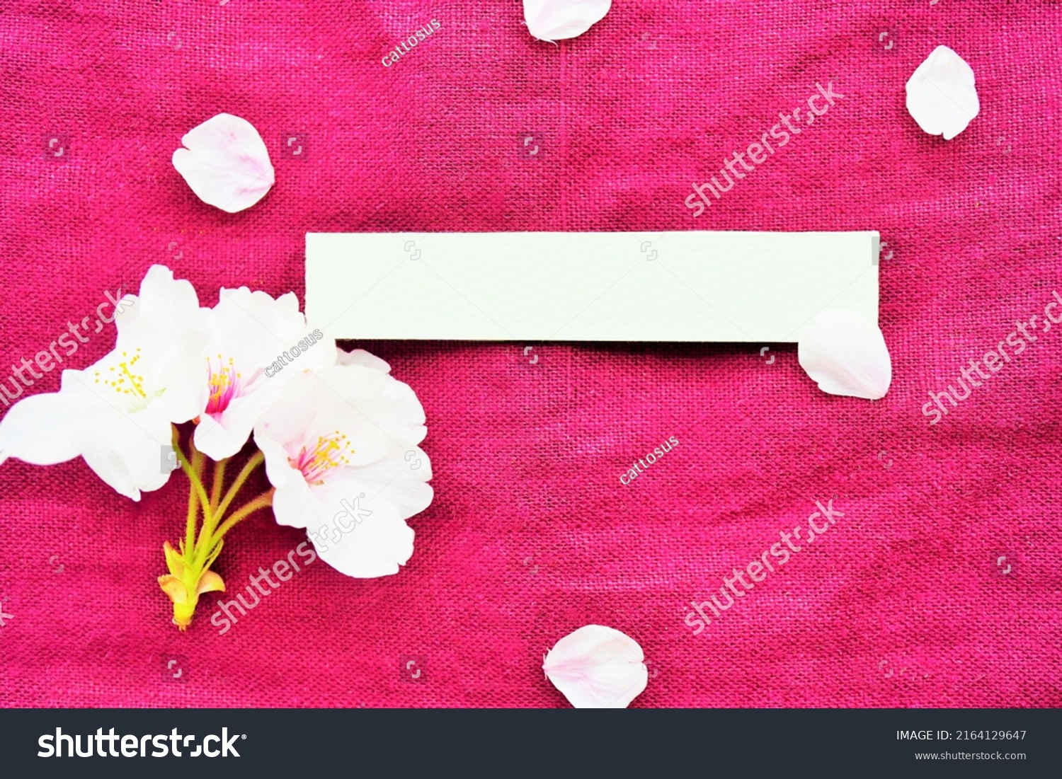 mockup-long-thin-character-space-decorated-stock-photo-2164129647