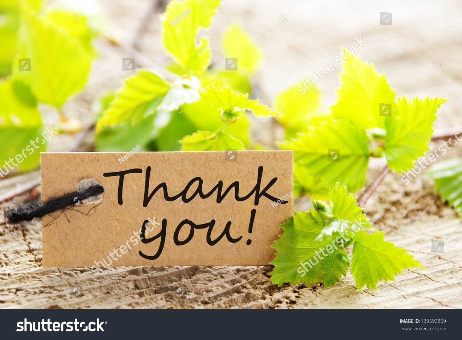 Natural Looking Label Thank You Green Stock Photo 139593809 - Shutterstock