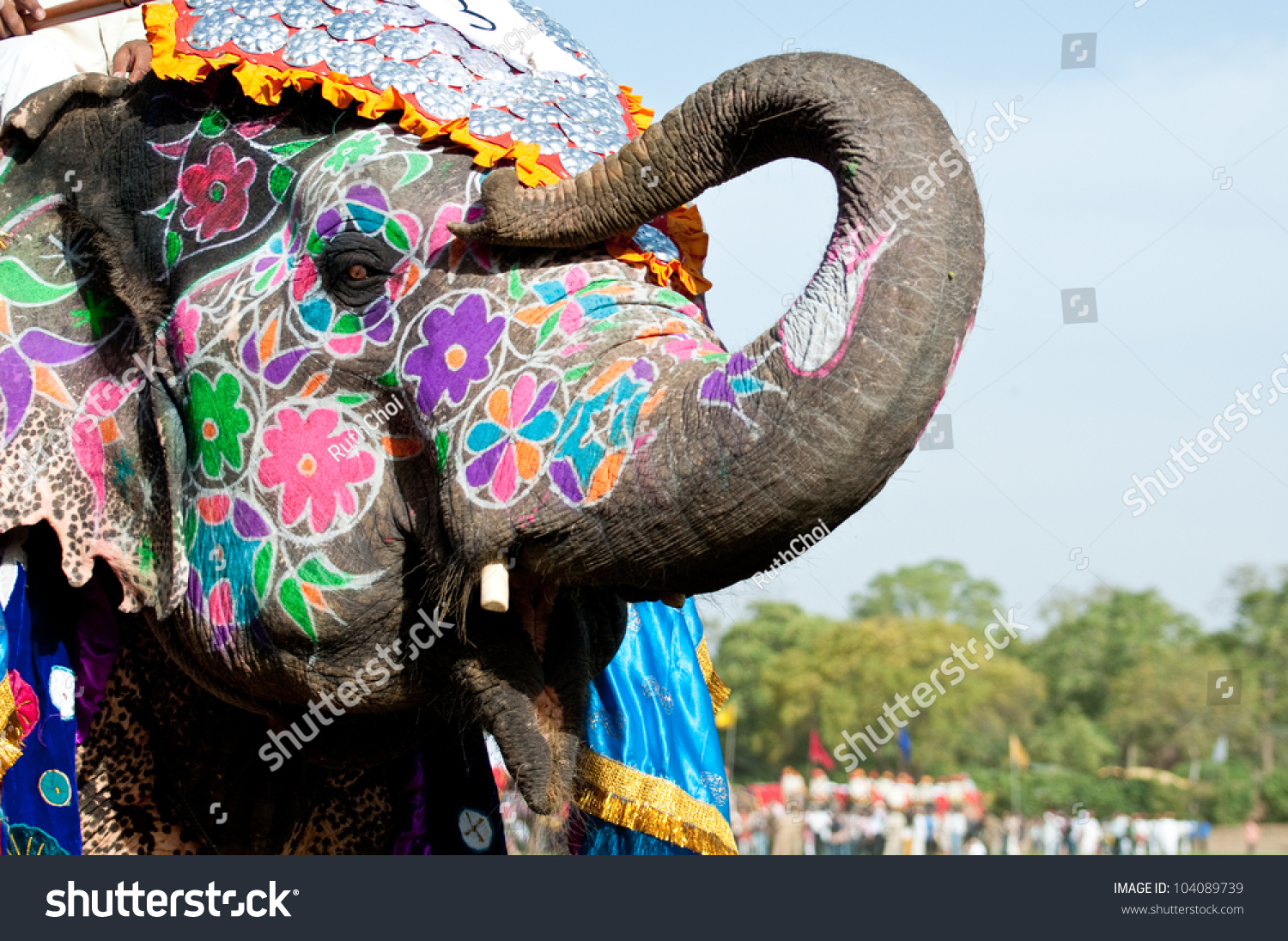 Painted Elephant Elephant Festival Jaipur India Stock Photo 104089739 ...