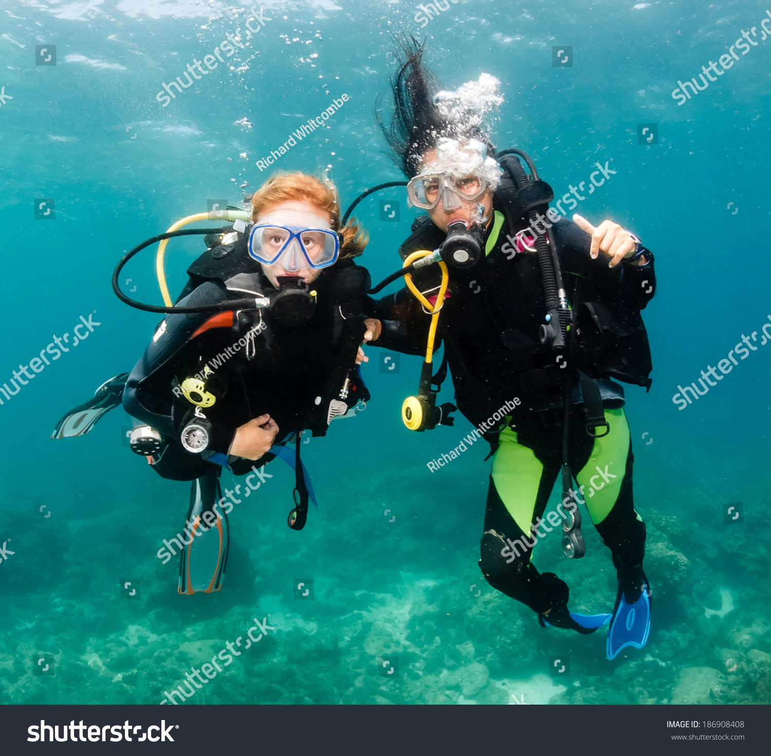 Pair Smiling Happy Scuba Divers Stock Photo 186908408 - Shutterstock