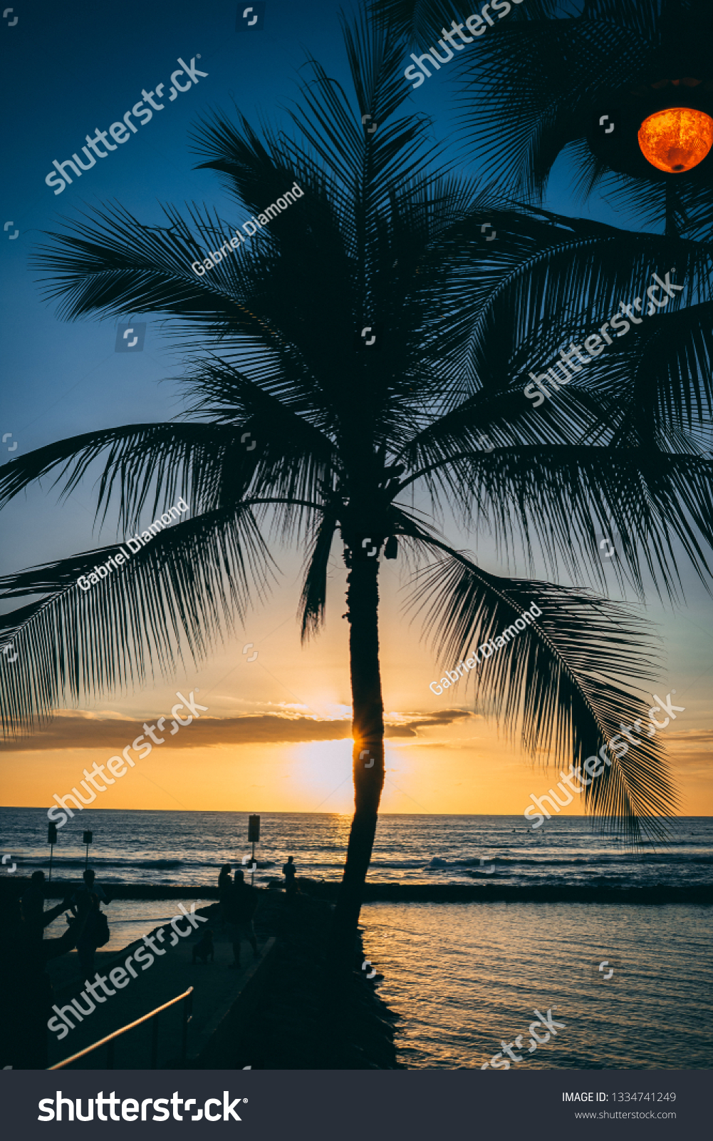 Palm Tree Behind Beautiful Sunset Hawaii Stock Photo Edit Now