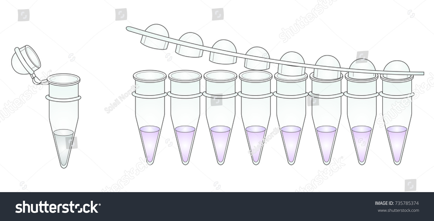 Pcr Tube Strip Tubes Stock Illustration