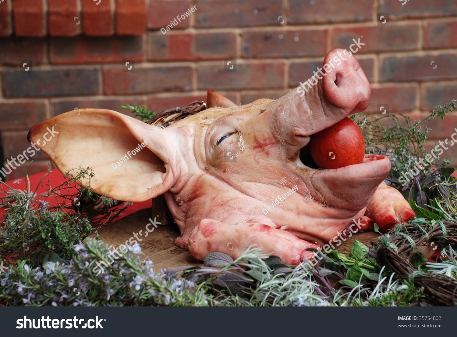 stock-photo-a-pigs-head-with-an-apple-in-its-mouth-at-a-medieval-style-banquet-35754802.jpg