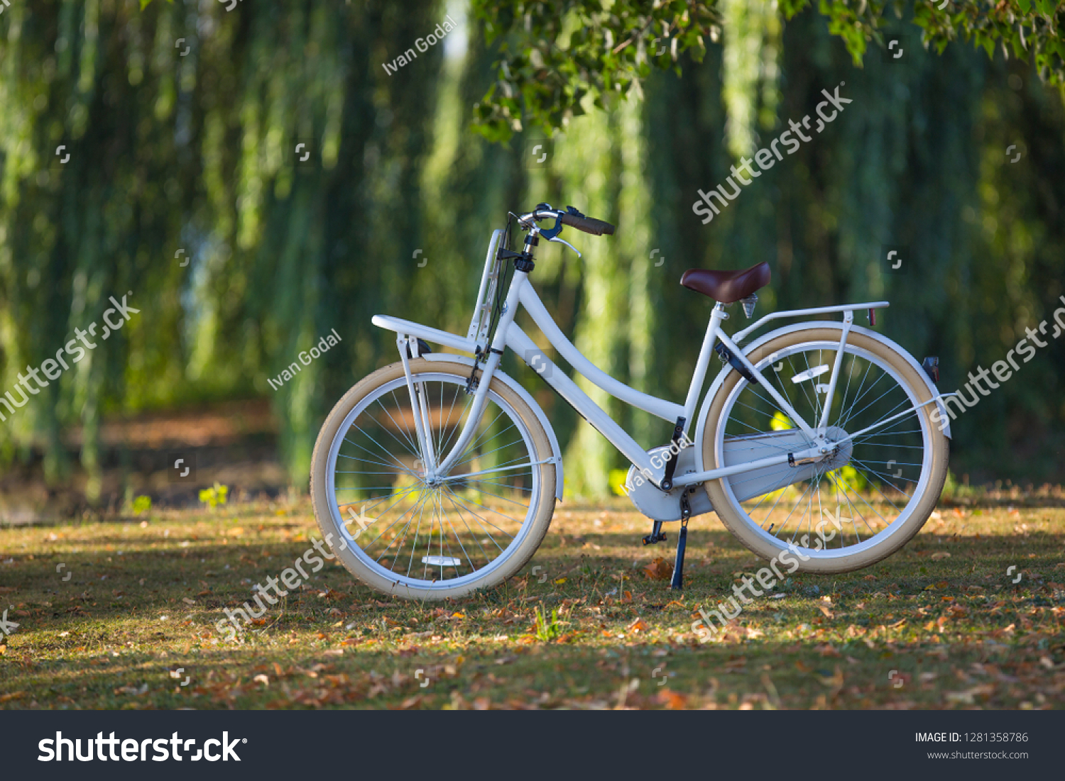 foldable womens bike