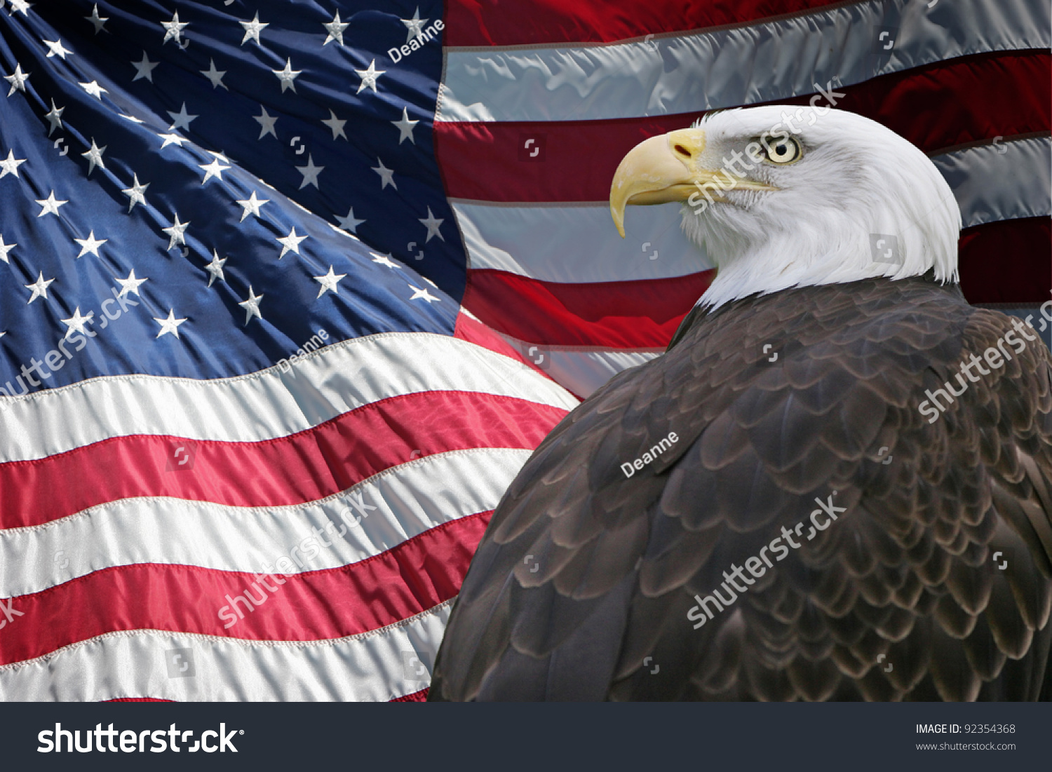 A Proud Bald Eagle In Front Of The American Flag Stock Photo 92354368 ...