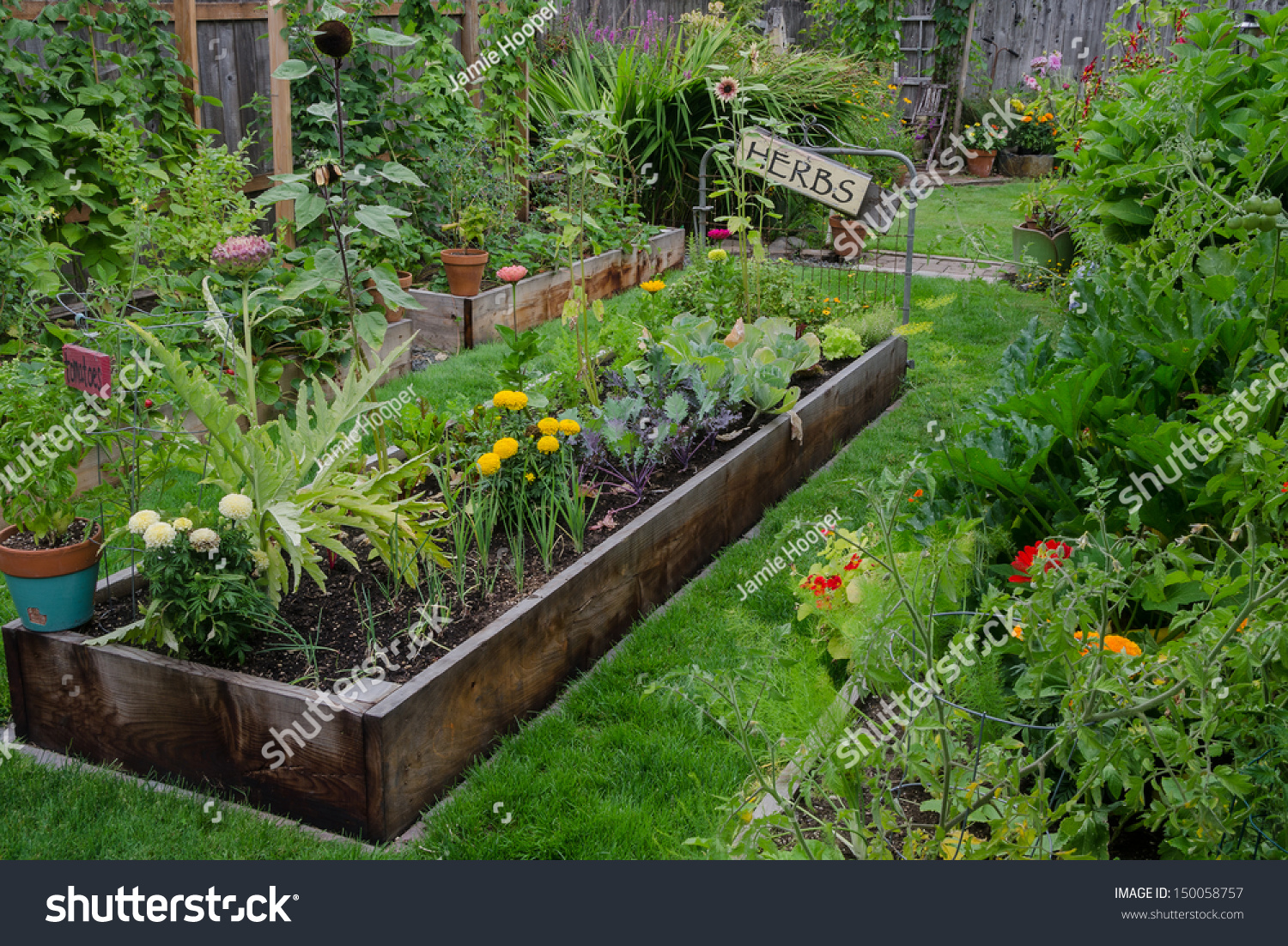 43,458 Herb garden bed Images, Stock Photos & Vectors | Shutterstock