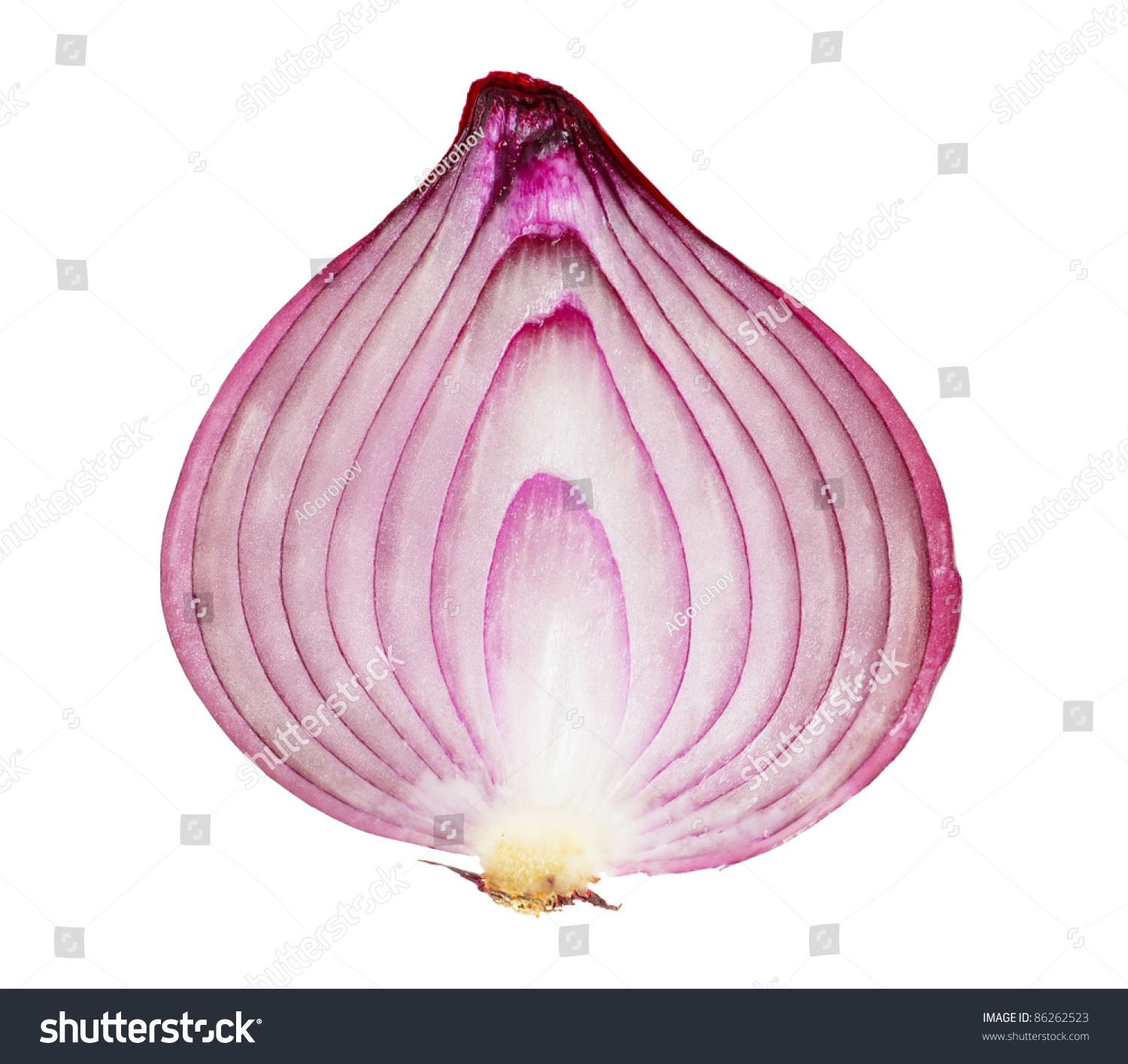 Red Onion Sliced Half Isolated On Stock Photo 86262523 | Shutterstock