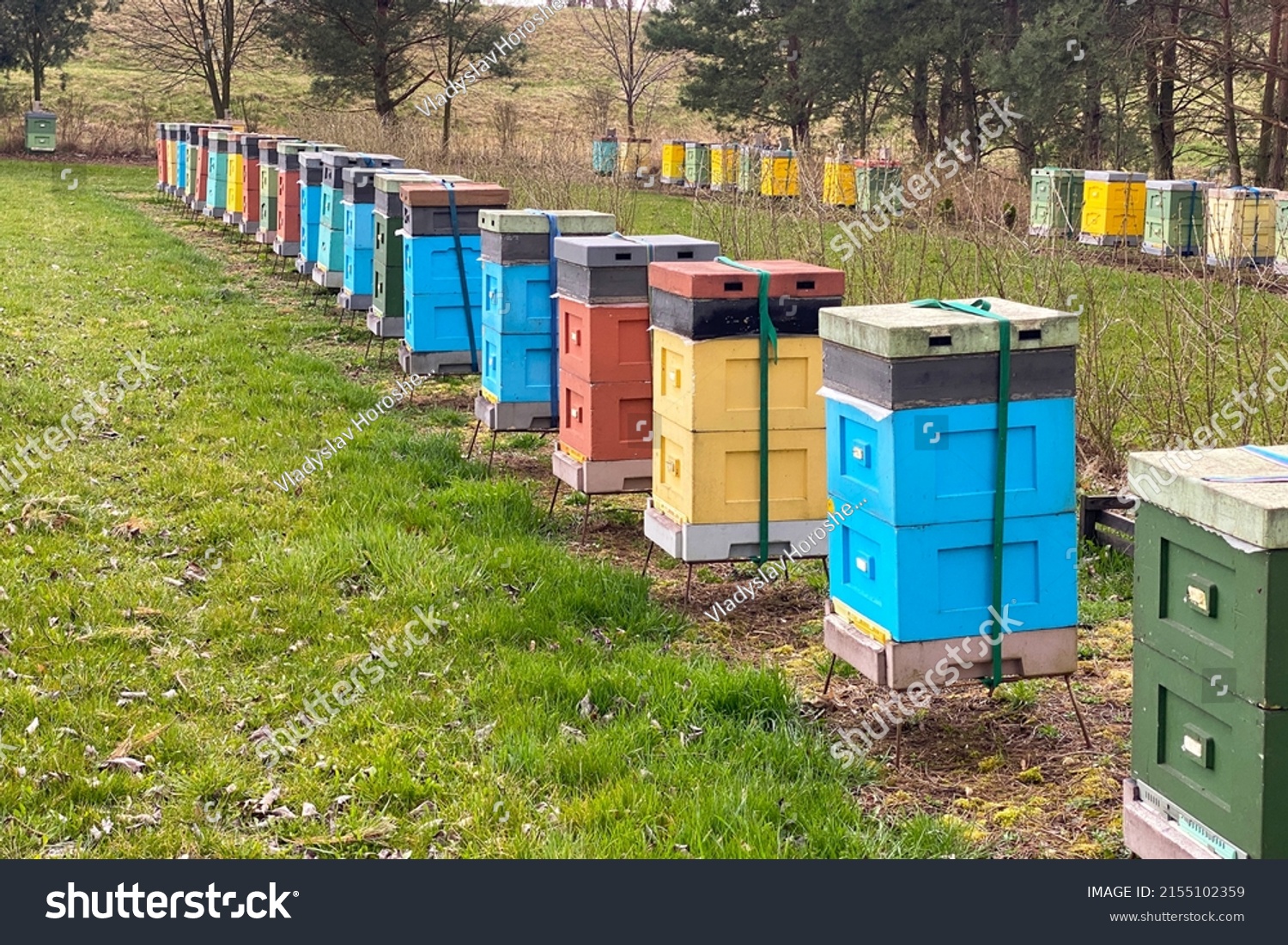 Row Colorful Beehives Beehive Farm Many Stock Photo 2155102359 ...