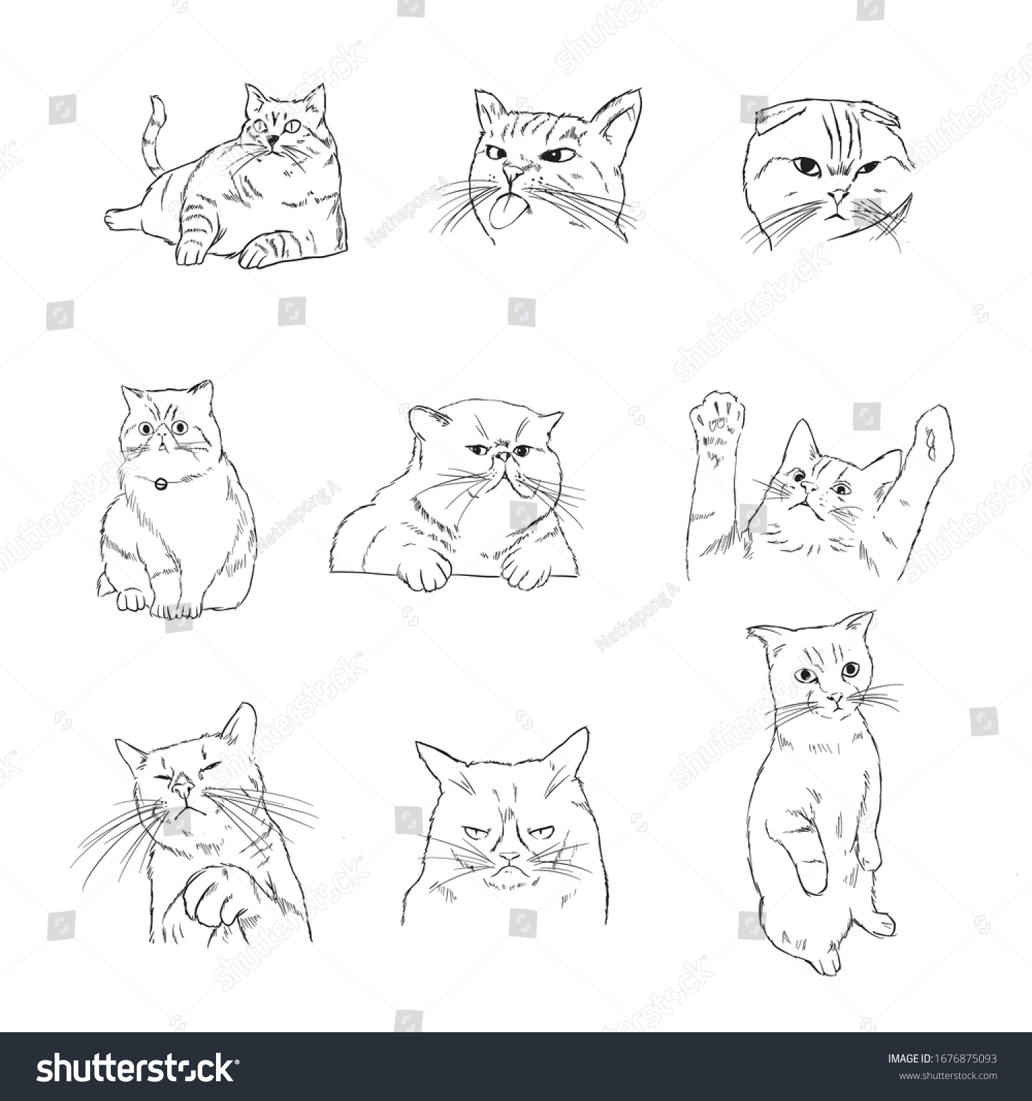 Set Portraits Different Cats Handdrawn Illustration Stock Illustration ...