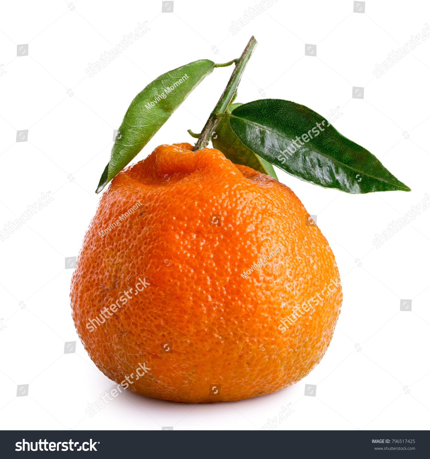 2,209 Satsuma leaf Images, Stock Photos & Vectors | Shutterstock