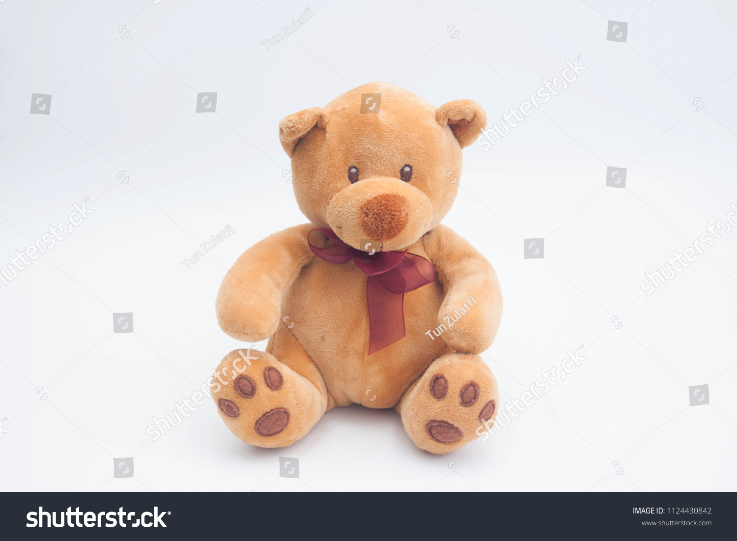 plain teddy bear