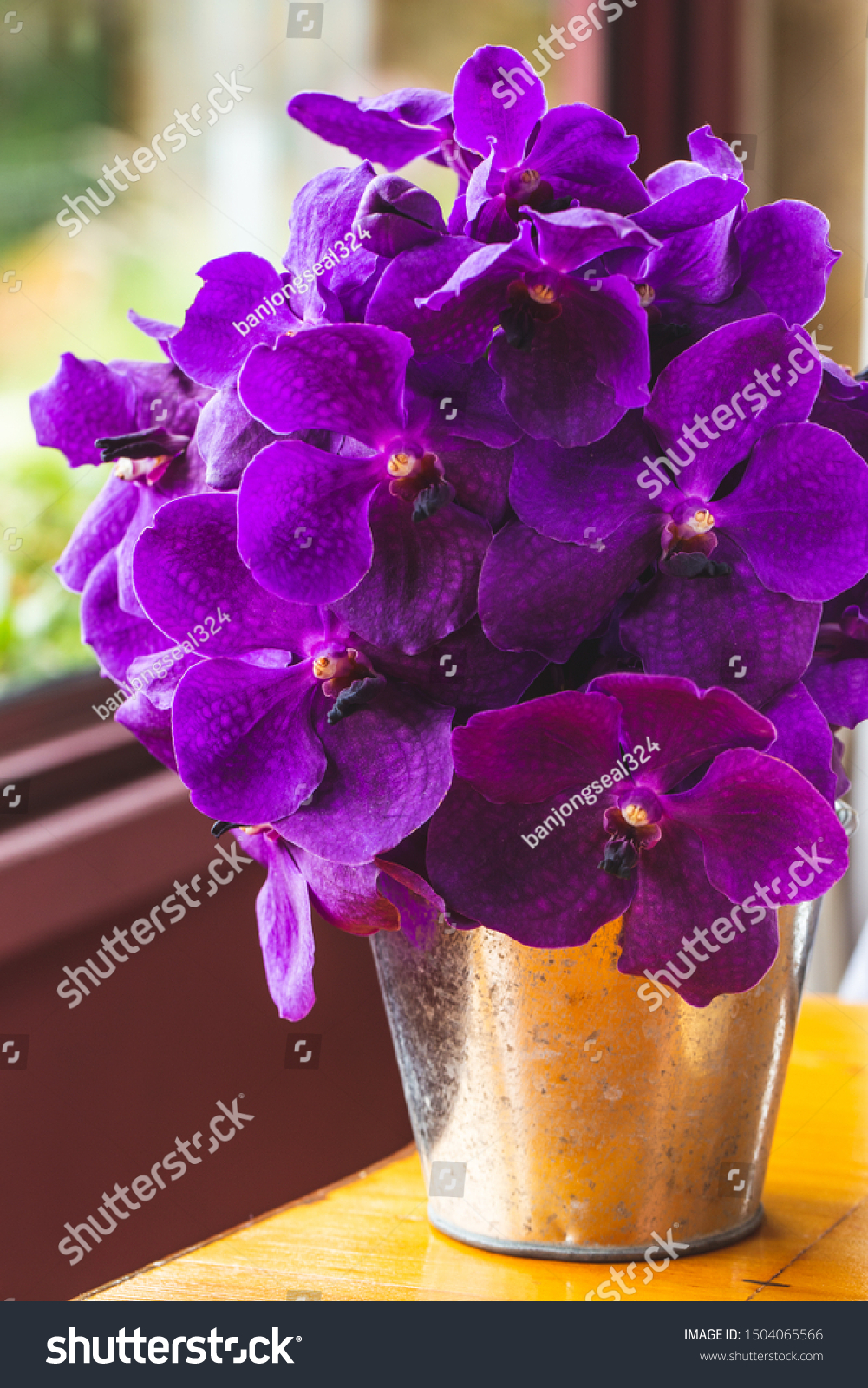 Stunning Collection Purple Flowerspurple Vases Flowersflower Stock