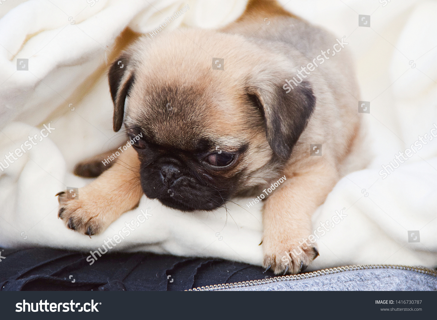 Very Small Young Very Small Young