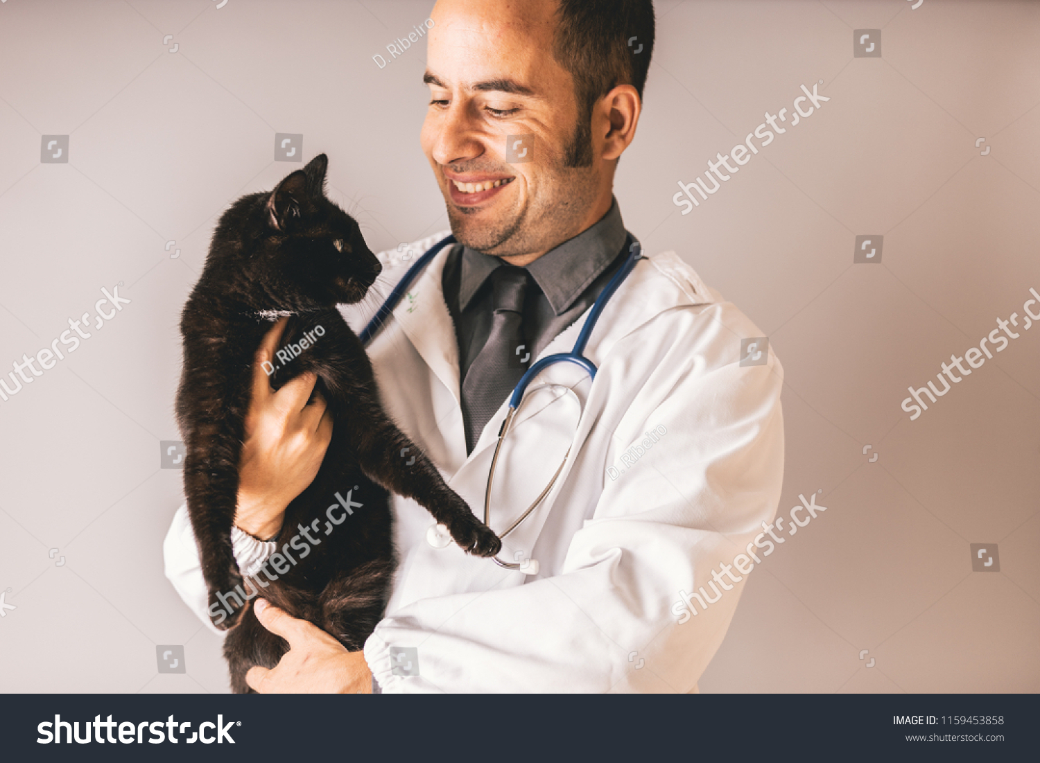 nearby veterinary doctor