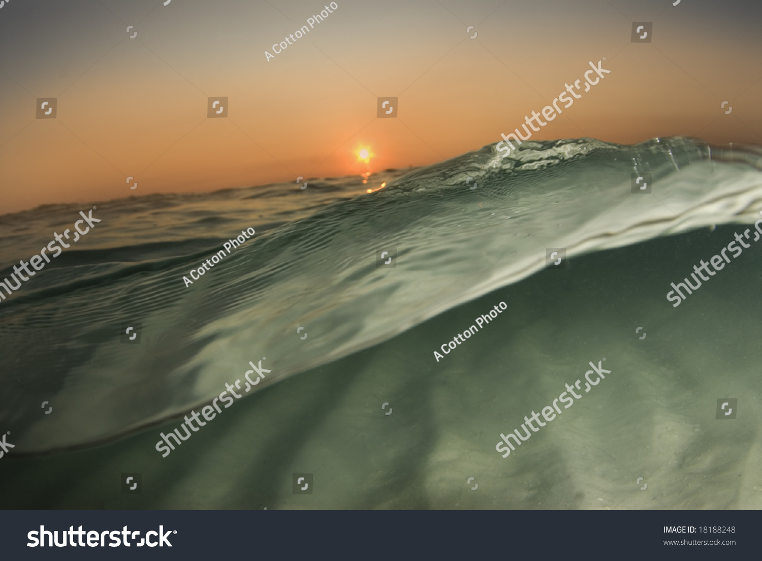 A Wave Passes By The Camera Half In, Half Out Of The Water While The ...