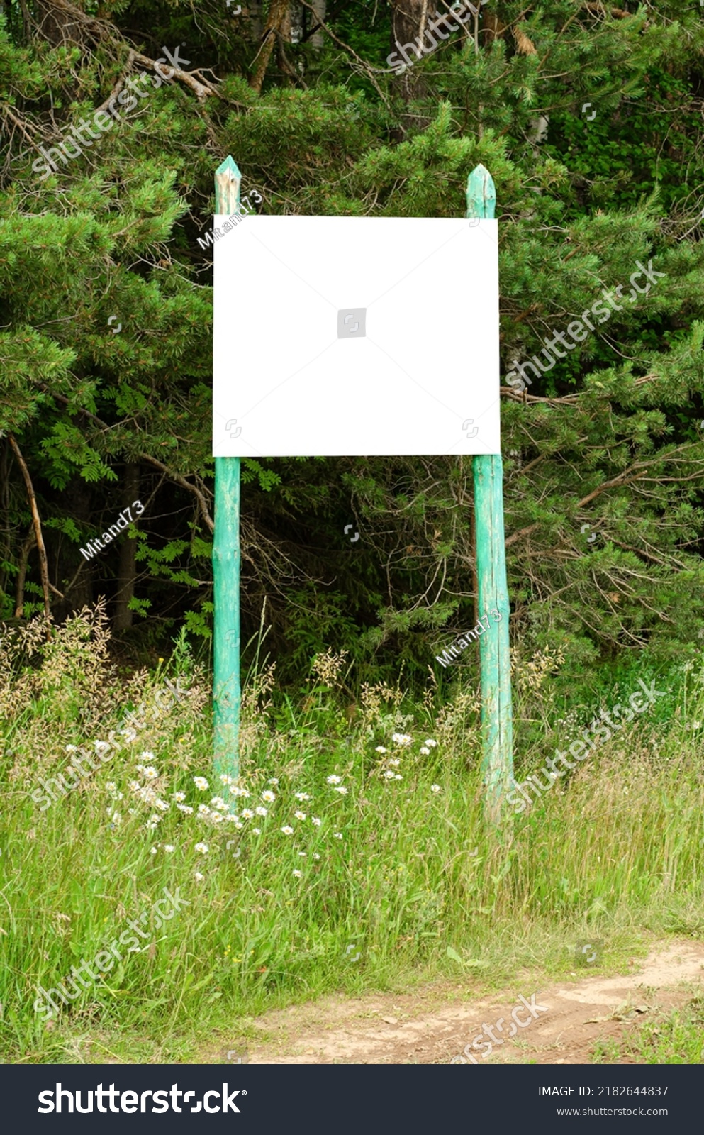 White Empty Billboard Forest Among Trees Stock Photo 2182644837 ...